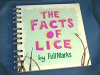 The Facts of Lice