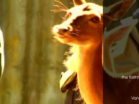 the faithful eyes