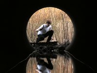 En film om en film - Director's Cut