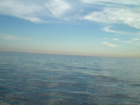 sail jam Venice Beach