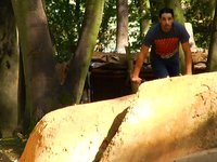Stoneys Wood
