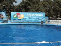 Delfines del zoo de Barcelona