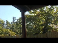 Glidecam Haier monitor test