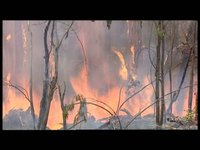 Merrijig Bushfires
