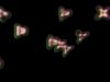 ExtraT cells