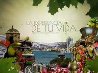 La experiencia de tu vida