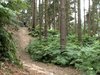 Down Hill Biking with Gaz Saunders