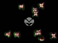 ExtraT cells