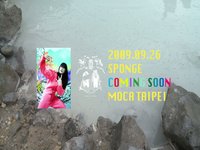 Sponge Project Preview