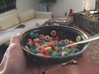 Fresh Tracks Promo - Silly Circles