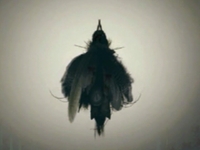 The Storyteller