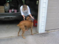 Rocky loves his Sarah