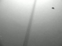 tractions