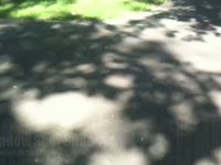Shadow Shot Sunday