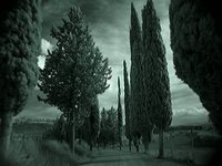 IR Video - Near Pienza, Italy