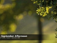 One September Afternoon HD