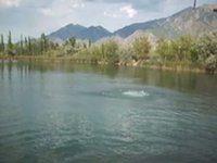 Mona Lake Rope Swing