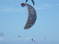 Genetrix Origin 2010