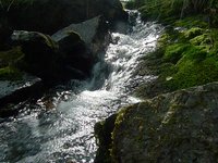 koski