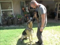 Trouble's 1st weekend home