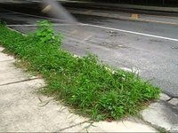 An ode to the Riverside Ledges. R.I.P