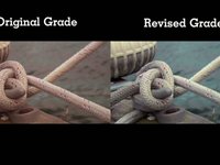 Color Compare: The Boat Festival