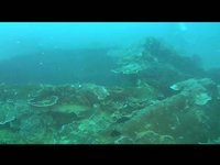 Palau Wreck Diving