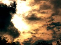 Sky Monster