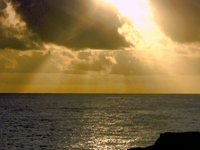 Keaau, Hawaii: Right In My Own Backyard