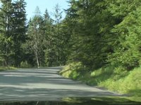 Black TT in the mountains