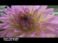 Spring 2008 Showreel