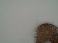 Snow-Bully