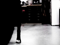 Horror film test, cute puppy?