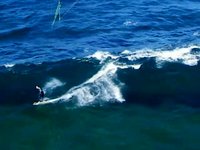 Lightwind kiteboarding in the surf / SYDNEY Sept. 2009