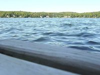Cottage Chronicles