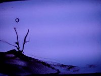SandArt - Мушкетеры - KiWi