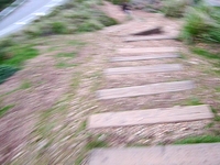 Race From Twin Peaks