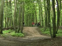 kucsprzyk