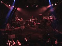 Family Dawgs - Jen & Ryan's Wedding - Shakedown Street (Grateful Dead)
