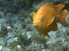 RnR Scuba Adventures