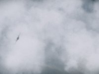 Particle Test