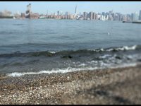Submission for NYFF Opening Title Sequence