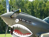 Flight Demo of Curtiss P-40 Warhawk