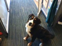 iPod Nano Video Quality - DiggDog