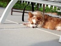 Walter on vacation