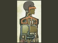 Der Mensch als Industriepalast [Man as Industrial Palace]