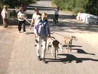 A Soda Springs Stroll