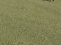 Day on the Hill