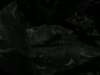 Lost on Purpose - Ohio 2
