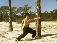 The Legend of Monkey Fight